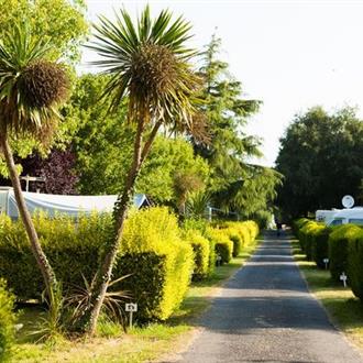 emplacement herbeux bien délimité au Camping de la plage à Bénodet