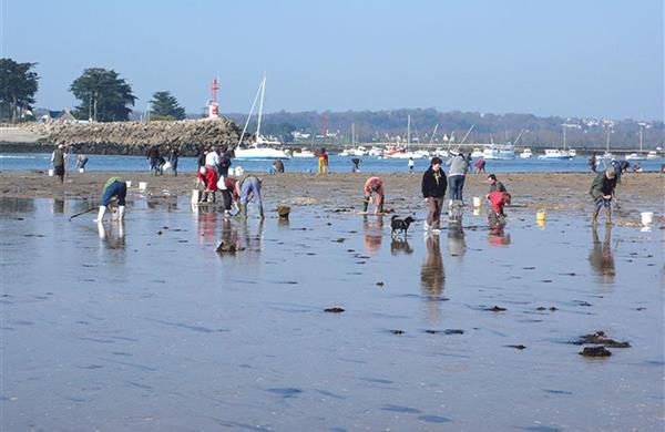 Camping la plage Benodet