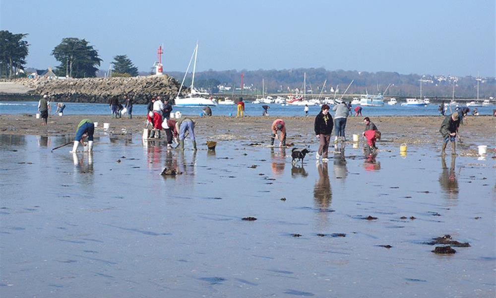Camping la plage Benodet