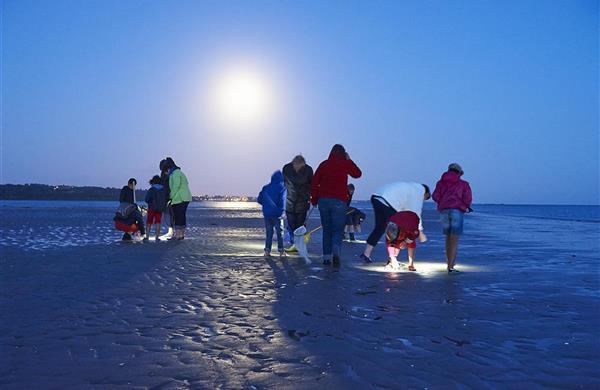 Camping la plage Benodet