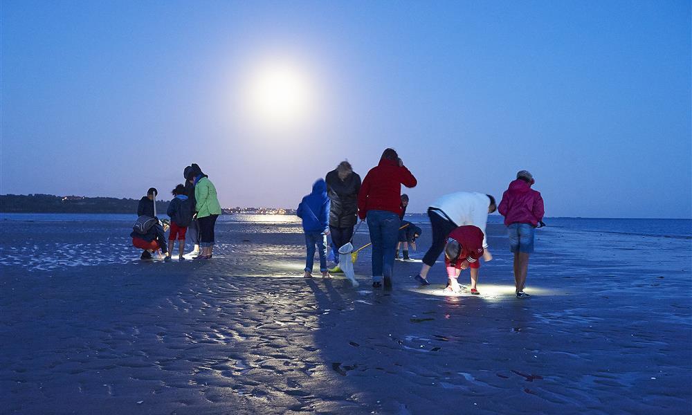 Camping la plage Benodet
