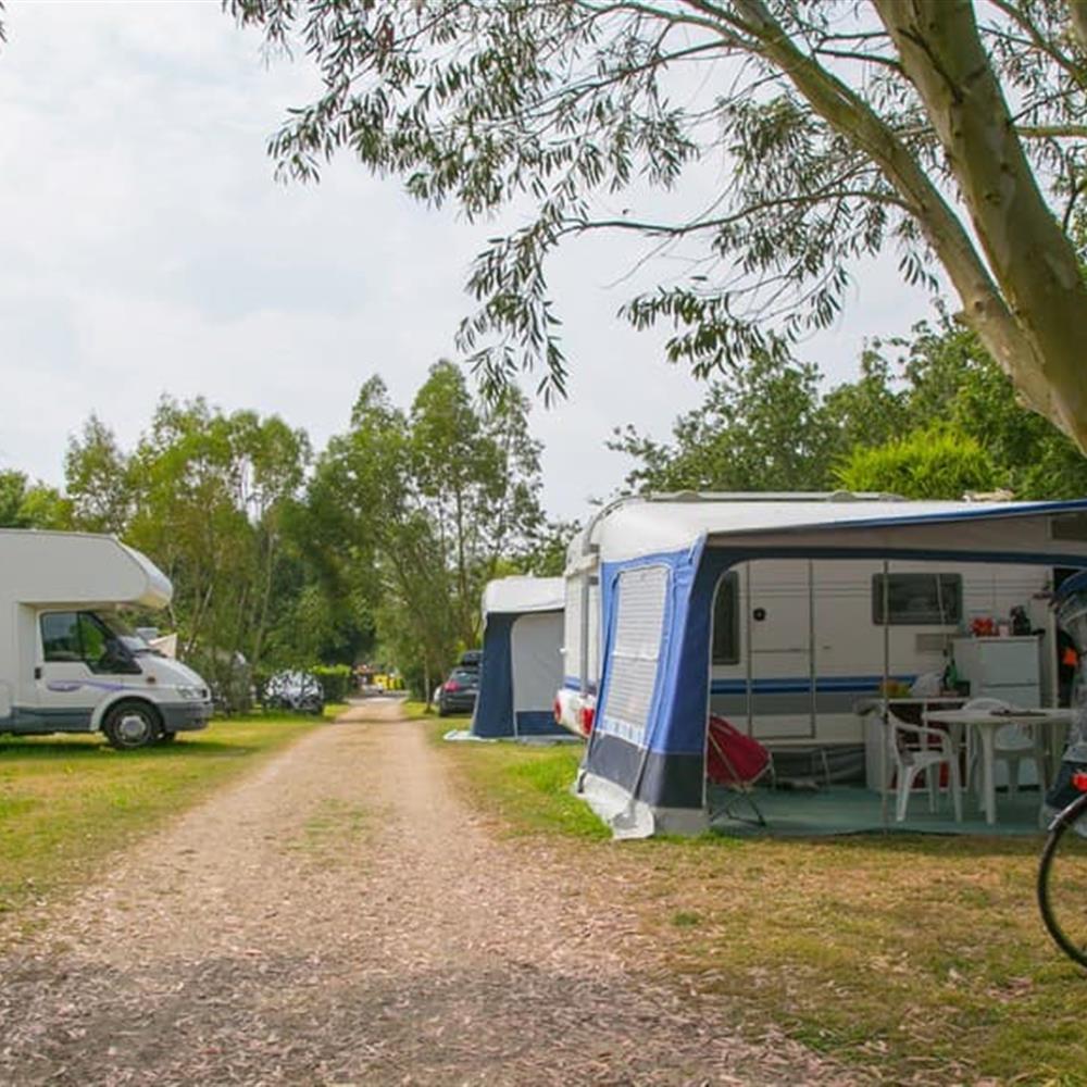 emplacement herbeux bien délimité au Camping de la plage à Bénodet